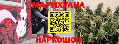 jwh Кингисепп