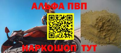 jwh Кингисепп