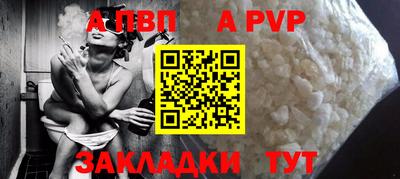 jwh Кингисепп
