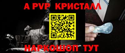стаф Кинель